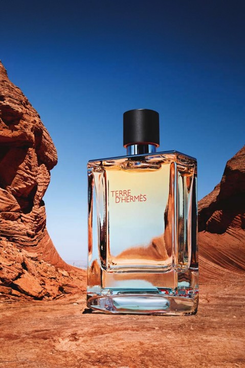 Άρωμα Hermes Terre D`Hermes EDT 100 mlIVET.EU - Εκπτώσεις έως -80%