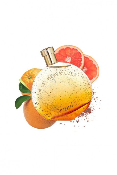 Parfém Hermes Eau Des Merveilles EDT 100 mlIVET.EU - Stylové oblečení
