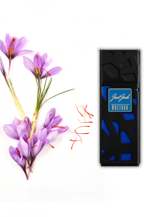 Άρωμα Just Jack Mystery EDP 100 mlIVET.EU - Εκπτώσεις έως -80%