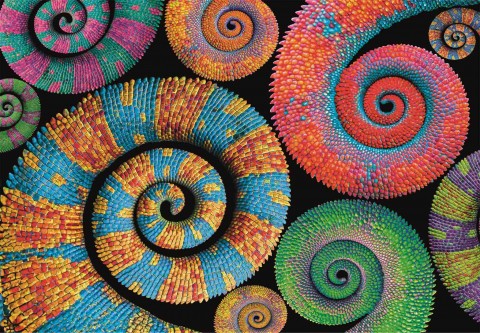 Puzzle Clementoni z 500 dílků - SpirálaIVET.EU - Stylové oblečení