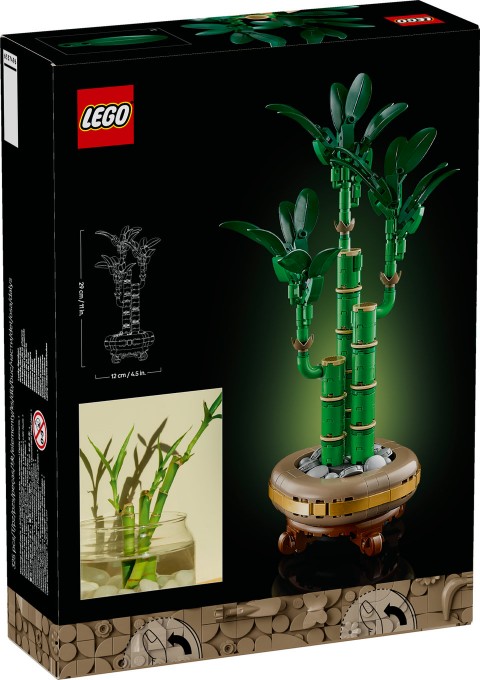 10344 | Dracena SanderaIVET.EU - Stylové oblečení