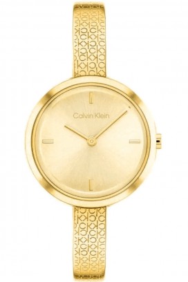 Dámské hodinky Calvin Klein 25200182