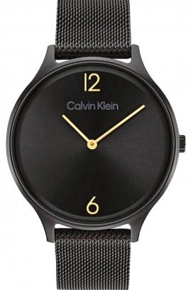 Dámské hodinky Calvin Klein 25200004