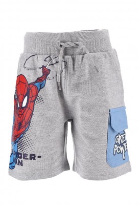 Šortky SPAIDY GREY